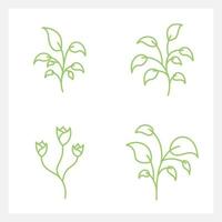 Hand drawn Set of leaf line art vector