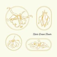 set of hand drawn ylang ylang flower on frame hand drawn vector illustration