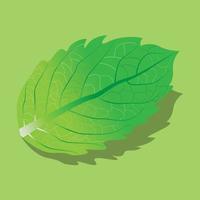 peppermint leaf with green gradient color and shadow on green background vector