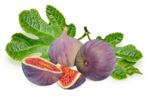 High quality drawing of figs with leaves. For packaging and label design. png