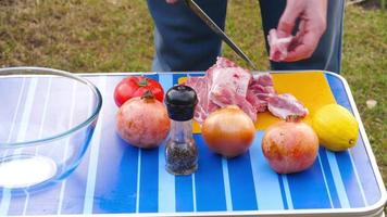 Mann schneidet frisches Schweinefleisch auf dem Grill. Picknick in der Natur an einem Frühlingstag video