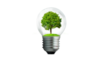 The bulb is located on the inside with leaves forest and the trees are in the light. Concepts of environmental conservation and global warming plant growing inside lamp bulb over dry png