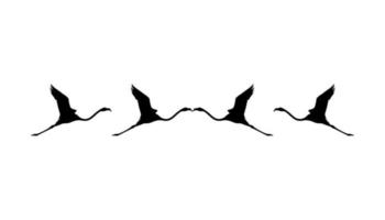 Flock of the Flying Flamingo Silhouette for Icon, Symbol, Logo, Art Illustration, Pictogram, Website,  or Graphic Design Element. Vector Illustration