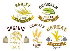 Cereal icon set with wheat, rye, oat and millet vector