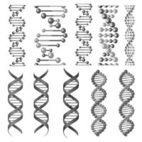 símbolos vectoriales de hélice de adn o cadena molecular vector