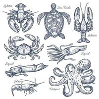 Sea animals and seafood isolated sketch set vector