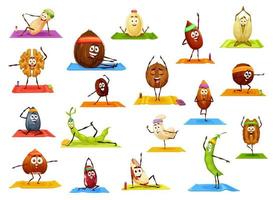 Cartoon happy nuts and beans characters on yoga vector