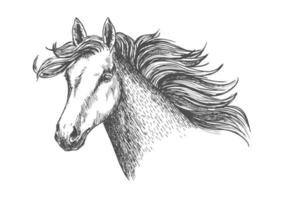 Freely running white beautiful horse mare vector