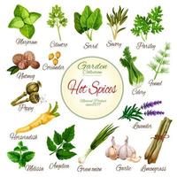 cartel de especias picantes, hierbas y verduras. vector