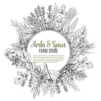 Herbs and spices sketch vector poster