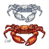 Crab seafood vector isolated sketch icon