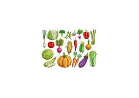 Vegetables isolated sketch set with fresh veggies vector