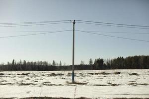 Electrical wires and pole. City light. Electric infrastructure in city. photo