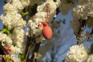 los huevos de pascua cuelgan del árbol. decoración de vacaciones. foto