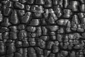 Charcoal texture background, burnt wood surface closeup photo