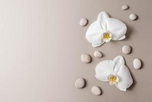 White orchids and pebble stones flat lay, floral beige background with copy space photo