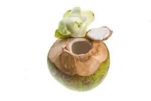 Coconut on white background photo