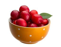 Damson plum in a bowl on white background photo