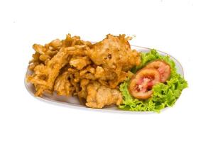 Tempura on the plate and white background photo