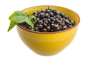 Black currant in a bowl on white background photo