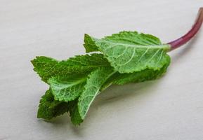 hojas de menta sobre fondo de madera foto