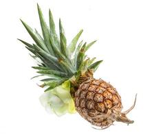 Pineapple on white background photo