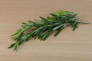 Rosemary on wooden background photo