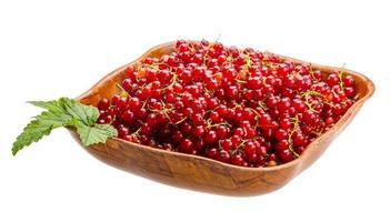 Red currant in a bowl on white background photo