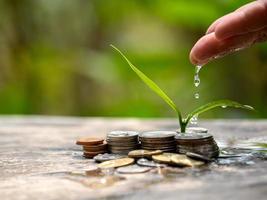 Hands are watering plants on top of coins stacked on blurred backgrounds and natural. photo