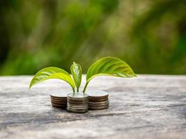 Ideas for Saving Money and Economic Growth The saplings that grow on piles of coins have a natural backdrop. photo