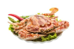 Red crab on the plate and white background photo