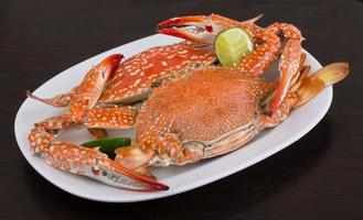 Boiled crabs on the plate and wooden background photo