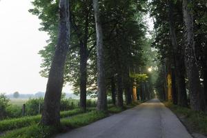 sunrise in beautiful alley photo