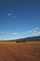 truck on field photo