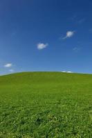 campo de hierba y cielo azul foto