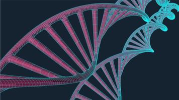 Grey DNA with polygon line on blue background. Polygonal space low poly with connecting dots and lines. Connection structure. Vector science background.