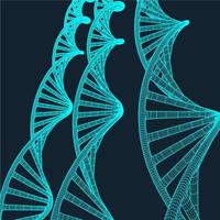 Grey DNA with polygon line on blue background. Polygonal space low poly with connecting dots and lines. Connection structure. Vector science background.