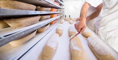 bakers preparing the dough photo