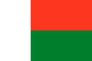 Flag of Madagascar. Symbol of Independence Day, souvenir sport game, button language, icon. vector