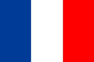 Flag of France. Symbol of Independence Day, souvenir soccer game, button language, icon. vector