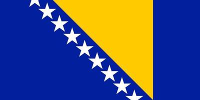 bandera de bosnia y herzegovina. símbolo del día de la independencia, juego deportivo de recuerdo, idioma de botones, icono. vector