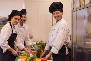 team cooks and chefs preparing meal photo