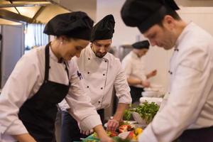 team cooks and chefs preparing meal photo