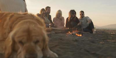 Friends Relaxing At Bonfire Beach Party photo