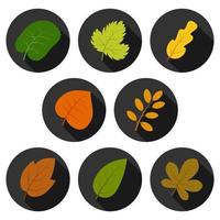 Set of eight autumn leaves in circles with shadows. Vector illustration