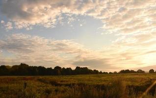 Serene View of Field With Thick Clouds Above It photo