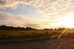 Tranquil Views of a Large Meadow Without Any People photo