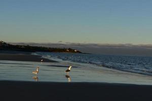 Beautiful beach on the coast of cape cod during sunset photo