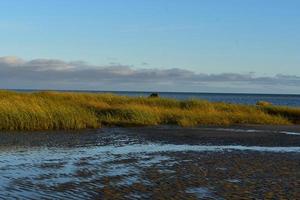 Pretty wet and sandy beach next to the atlantic ocean photo