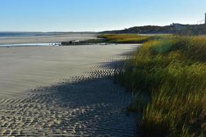 Beautiful cape cod beach with flowing beach grass photo